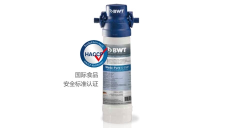 BWT Woda-Pure s超能系列水蜜桃一区二区免费器